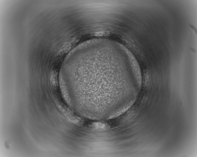 X0000100860272200807070941