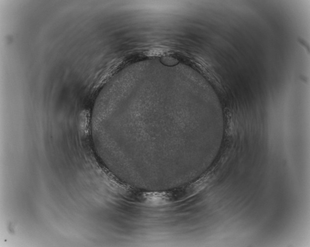 X0000100860273200807070941