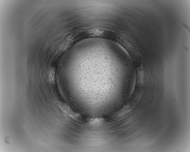 X0000100860274200807070941