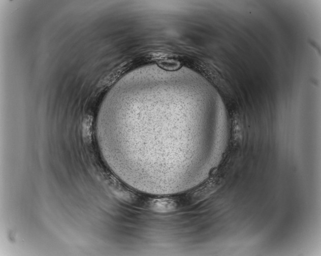 X0000100860275200807070941