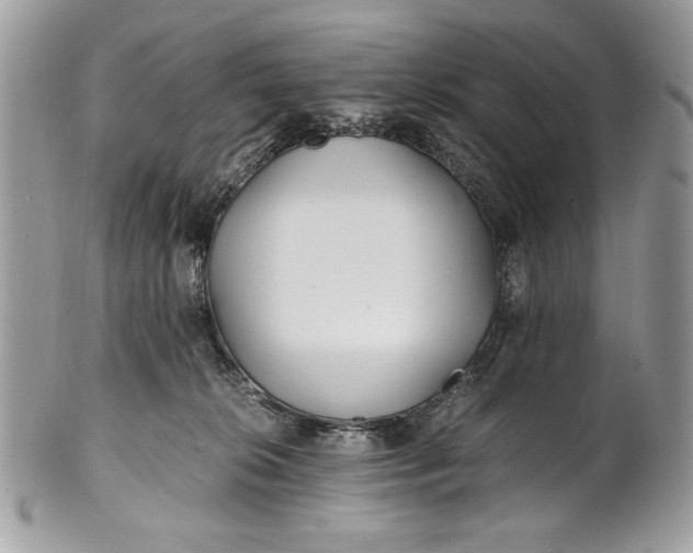 X0000100860276200807070941