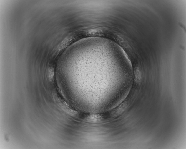 X0000100860278200807070941