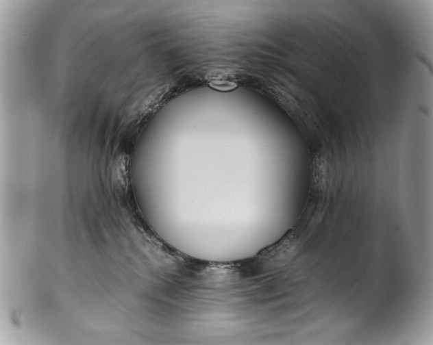 X0000100860280200807070941