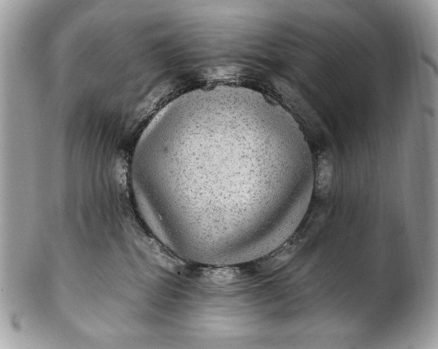 X0000100860282200807070941