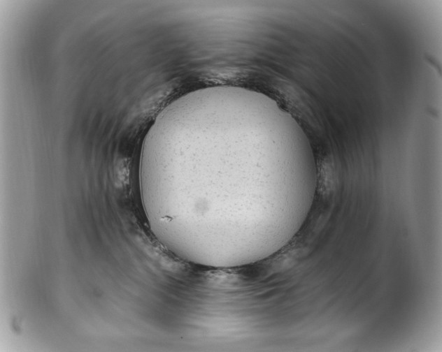 X0000100860284200807070941