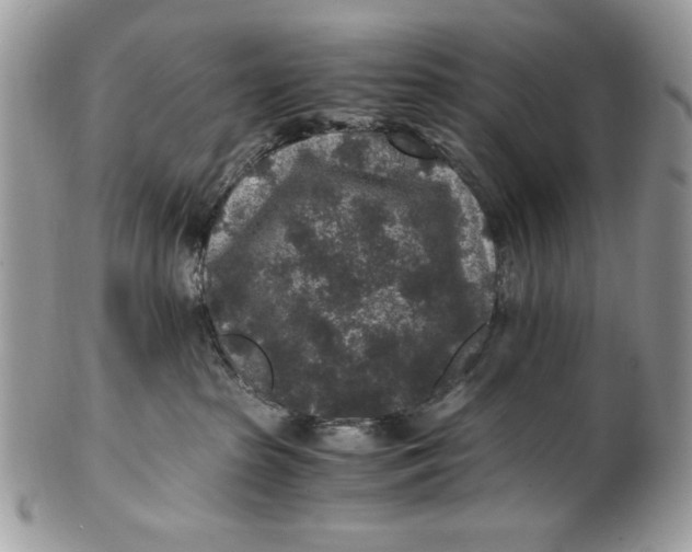 X0000100860285200807070941