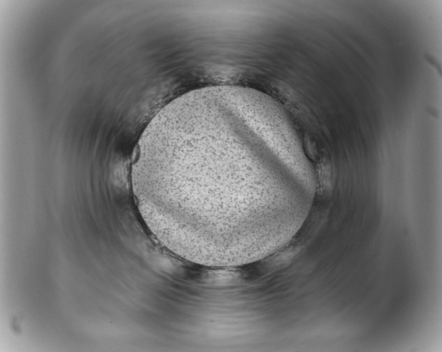 X0000100860286200807070941