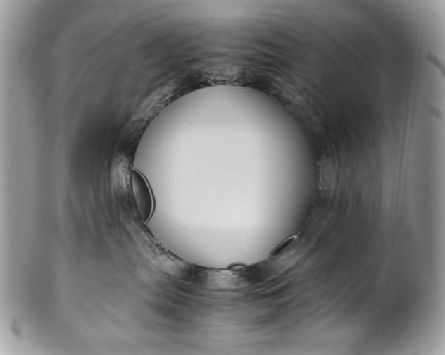 X0000100860287200807070941