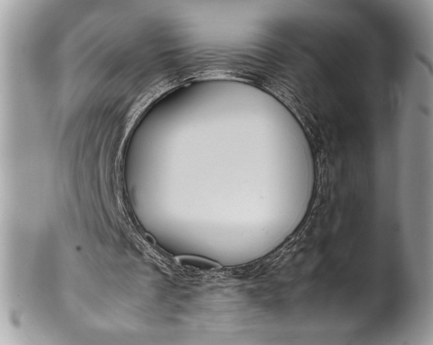 X0000100860289200807070940