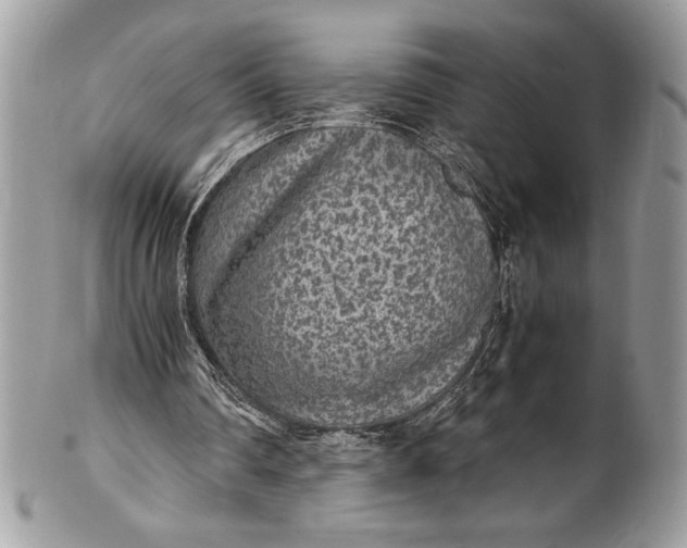 X0000100860290200807070940