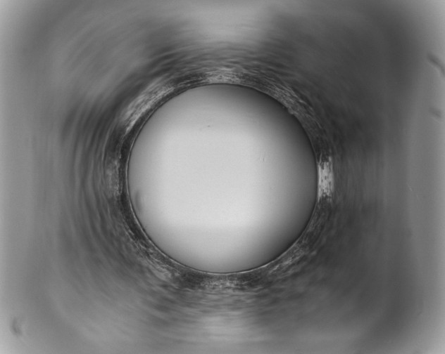 X0000100860291200807070940