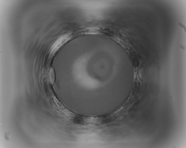 X0000100860293200807070940