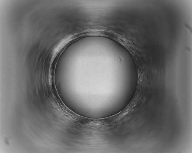 X0000100860294200807070940