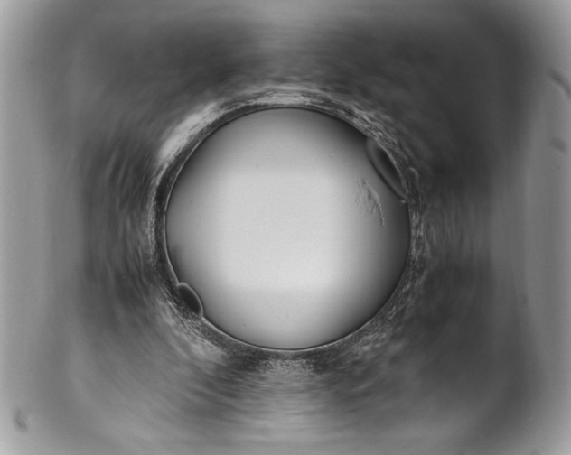 X0000100860296200807070940