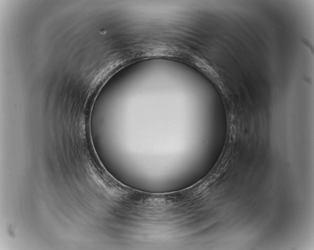 X0000100860298200807070940