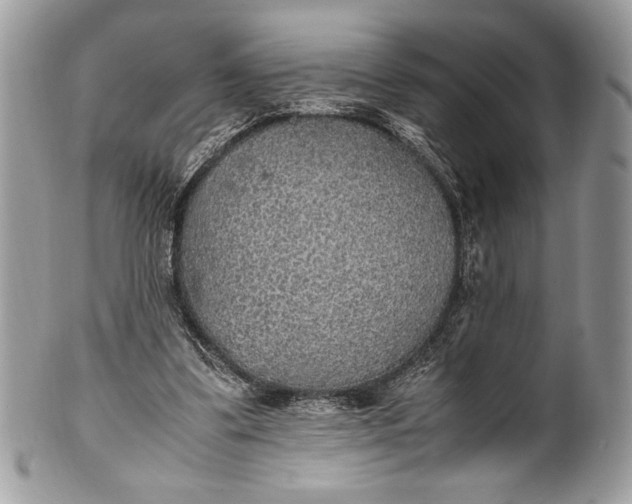 X0000100860299200807070940