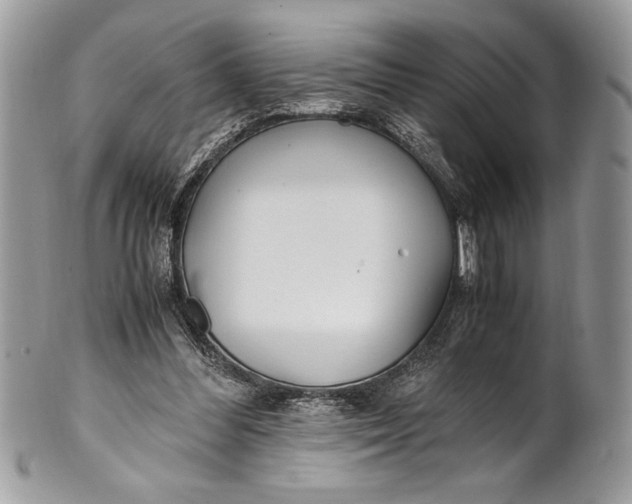 X0000100860300200807070940