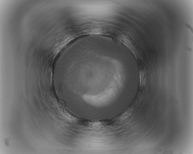 X0000100860301200807070940