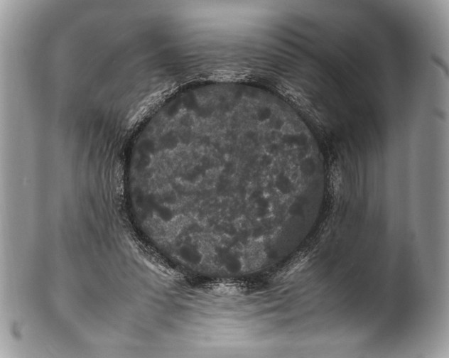 X0000100860303200807070940