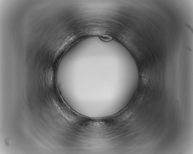 X0000100860304200807070940