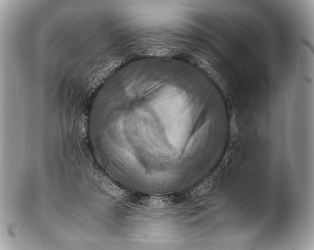 X0000100860305200807070940