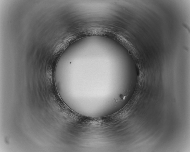 X0000100860306200807070940