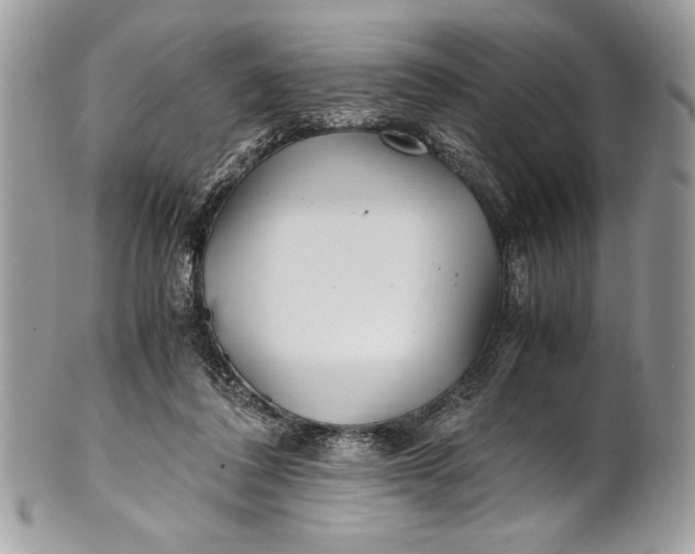 X0000100860308200807070940