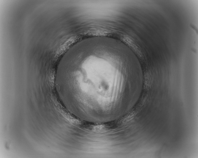 X0000100860309200807070940