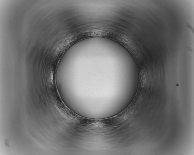 X0000100860310200807070940