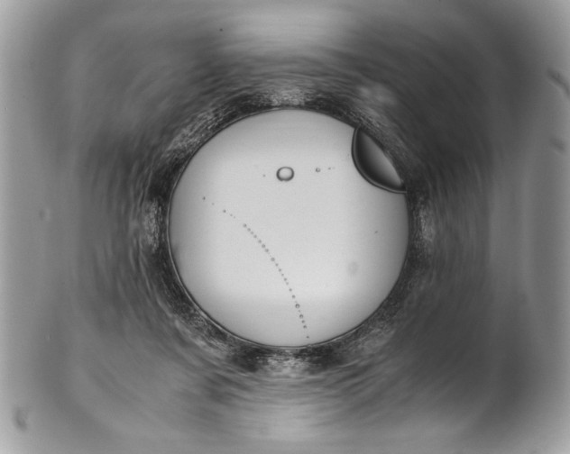 X0000100860311200807070940