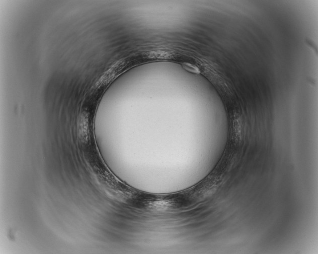 X0000100860312200807070940