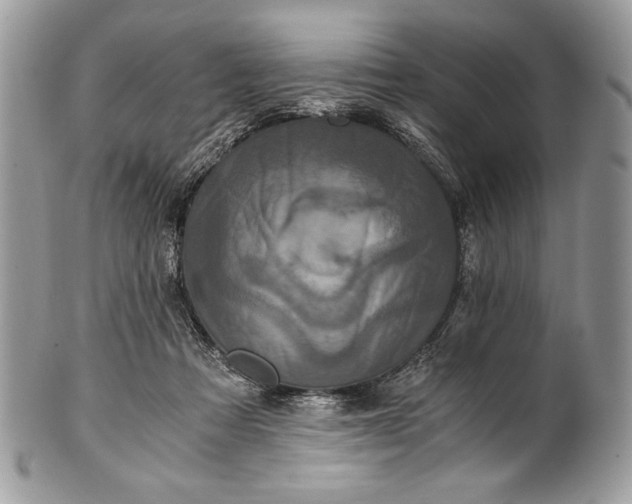 X0000100860313200807070940