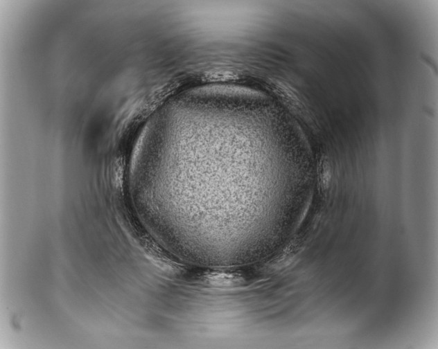 X0000100860315200807070940