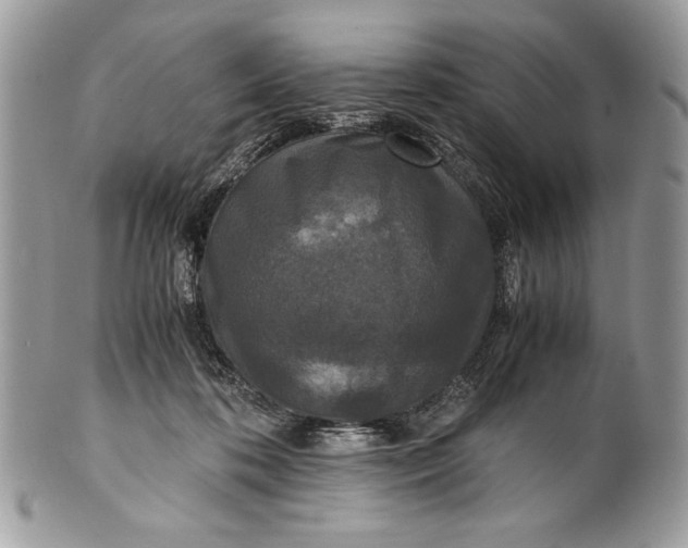 X0000100860316200807070940