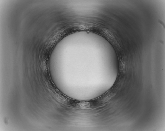 X0000100860317200807070940