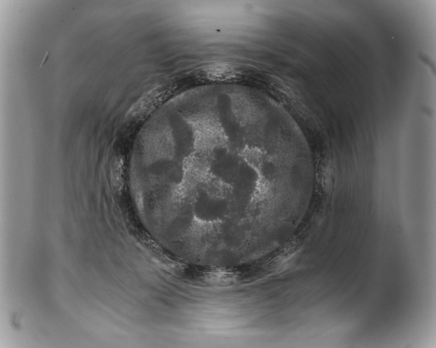 X0000100860319200807070940