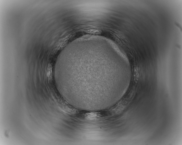 X0000100860320200807070940