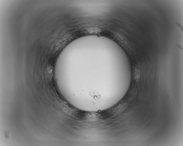 X0000100860321200807070940