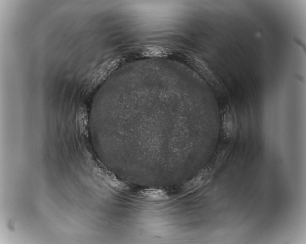 X0000100860322200807070940