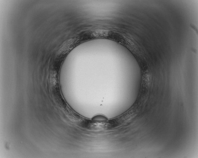 X0000100860323200807070940