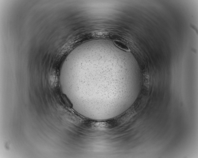 X0000100860324200807070940