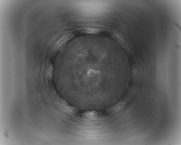 X0000100860325200807070940