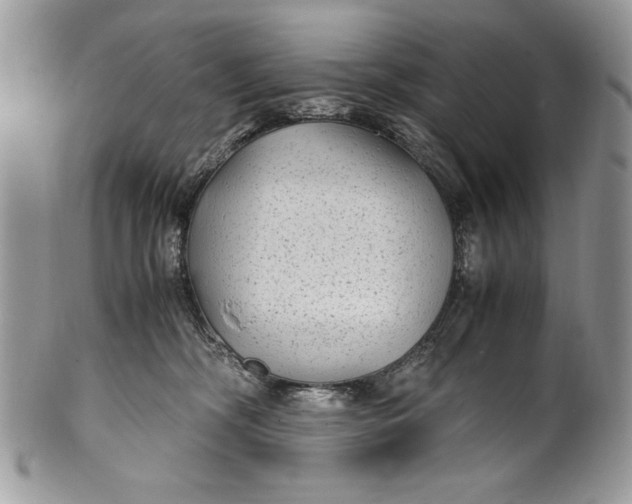 X0000100860326200807070940