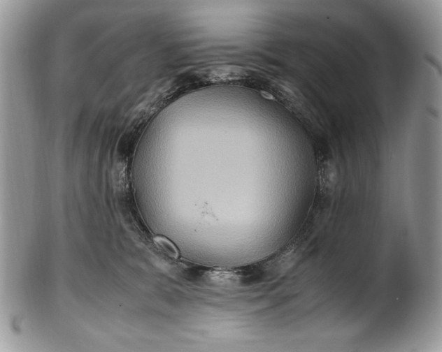 X0000100860327200807070940