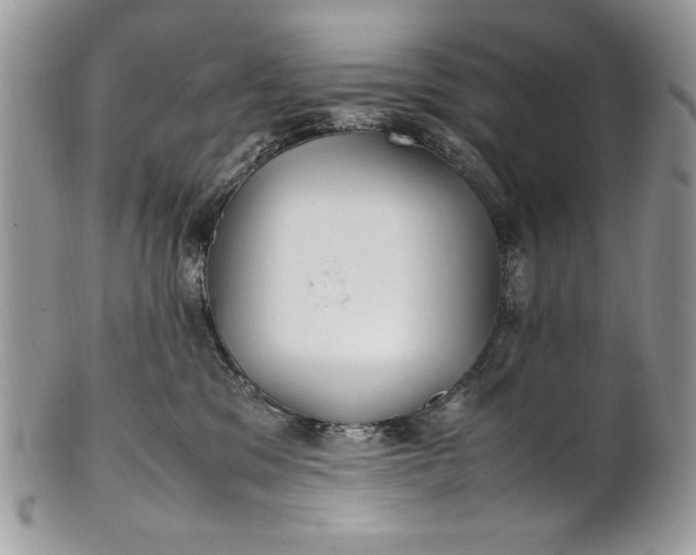 X0000100860329200807070939