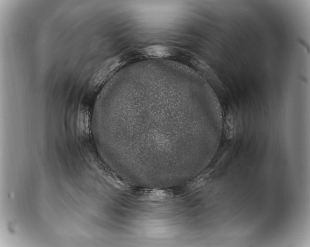 X0000100860330200807070939