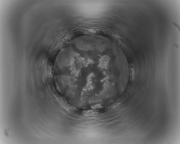 X0000100860331200807070939