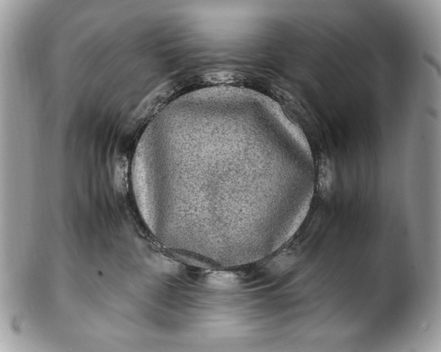 X0000100860332200807070939