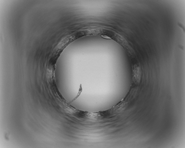 X0000100860333200807070939