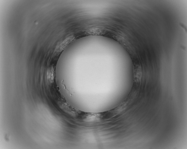 X0000100860334200807070939